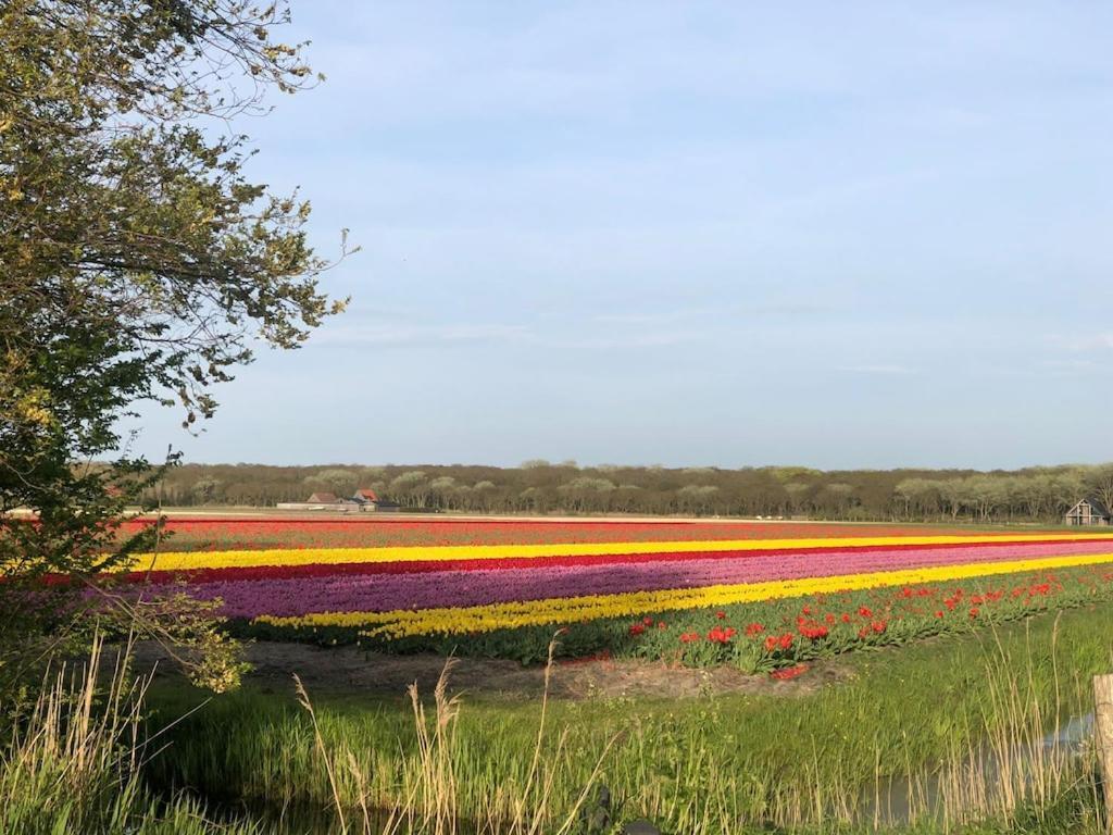 Sint Maartensvlotbrug Meno Mossoヴィラ エクステリア 写真