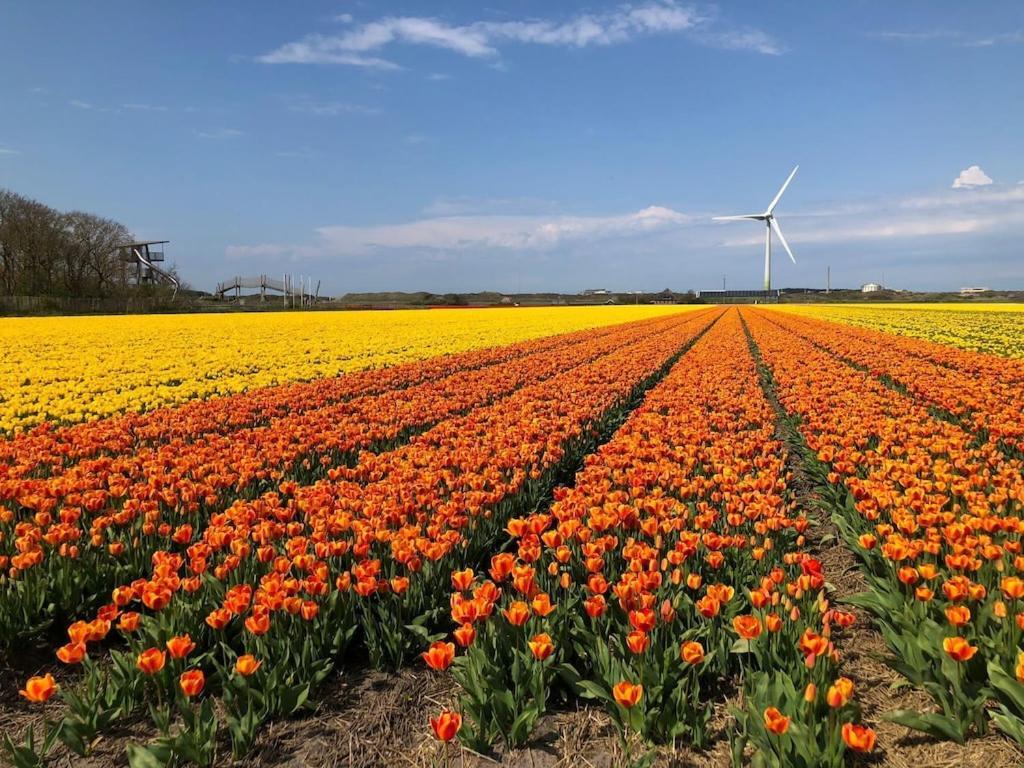 Sint Maartensvlotbrug Meno Mossoヴィラ エクステリア 写真